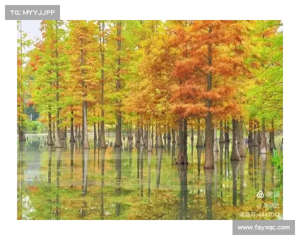冬日湖畔的温情与自然美景 冬日湖畔的温情与自然美景