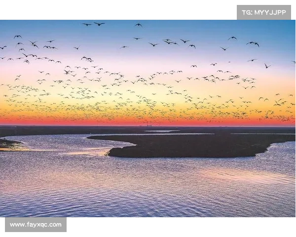 时间轮回与灵魂觉醒探索必备指南全解:从自我觉察到跨越生命边界 时间轮回与灵魂觉醒探索必备指南全解:从自我觉察到跨越生命边界