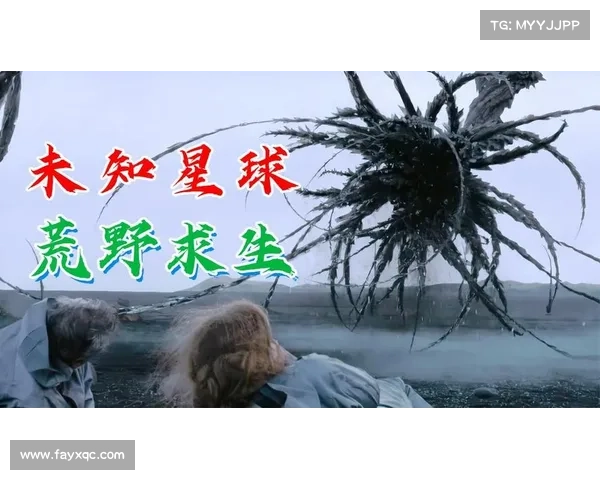 探秘神兽森林十大必备装备清单 助你轻松应对未知挑战