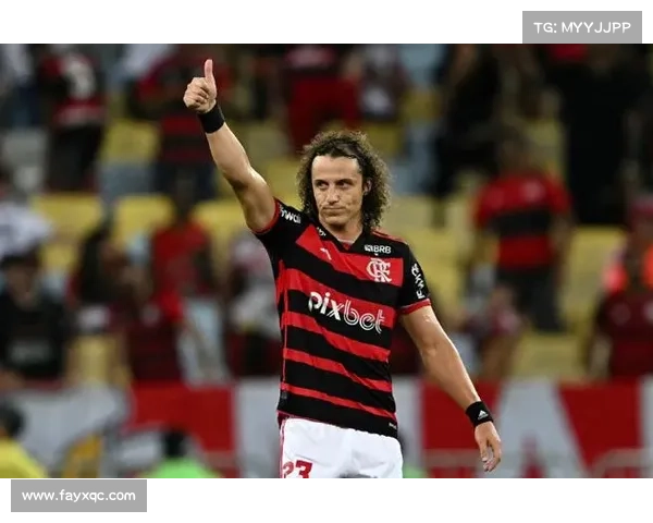 大卫路易斯落选国家队背后隐藏的真实原因与深层次分析 大卫路易斯落选国家队背后隐藏的真实原因与深层次分析