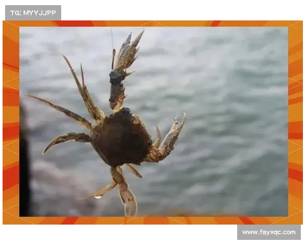 杰拉德4号球衣穿搭解析全面指南打造专属英伦足球风格